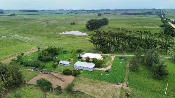 Vista aérea de un establecimiento rural en Uruguay, con galpones, montes y potreros