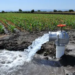 agua en el campo